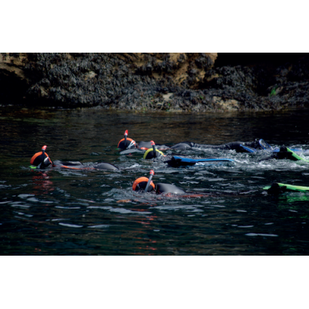 ©Sellor - Snorkeling sur le littoral de Lorient Bretagne Sud (Morbihan)