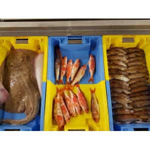 Caisses de criée au port de pêche de Lorient, Keroman (Morbihan) - ©Céline Madelaine - LBST