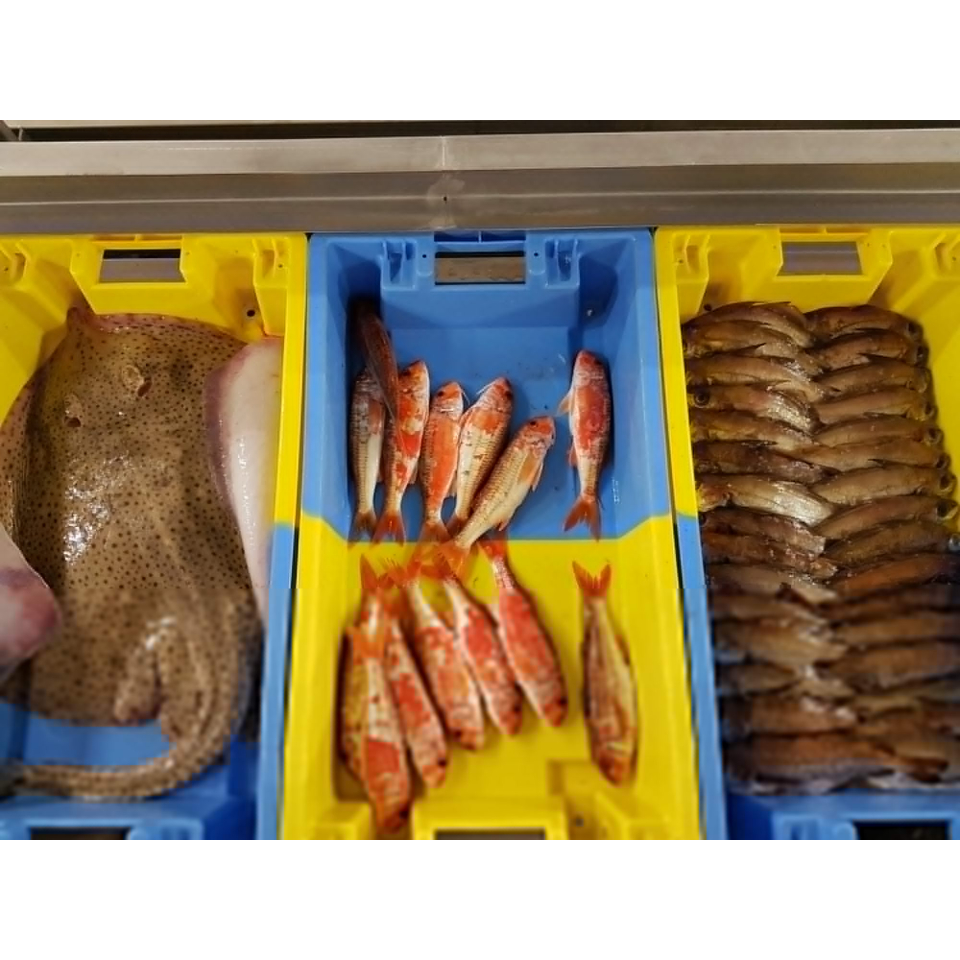 Caisses de criée au port de pêche de Lorient, Keroman (Morbihan) - ©Céline Madelaine - LBST