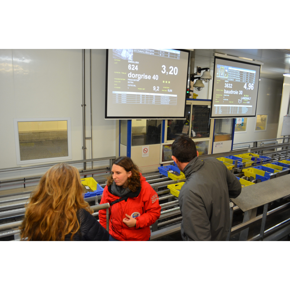 La criée de Keroman au port de pêche de Lorient (Morbihan) - ©Céline Madelaine - LBST