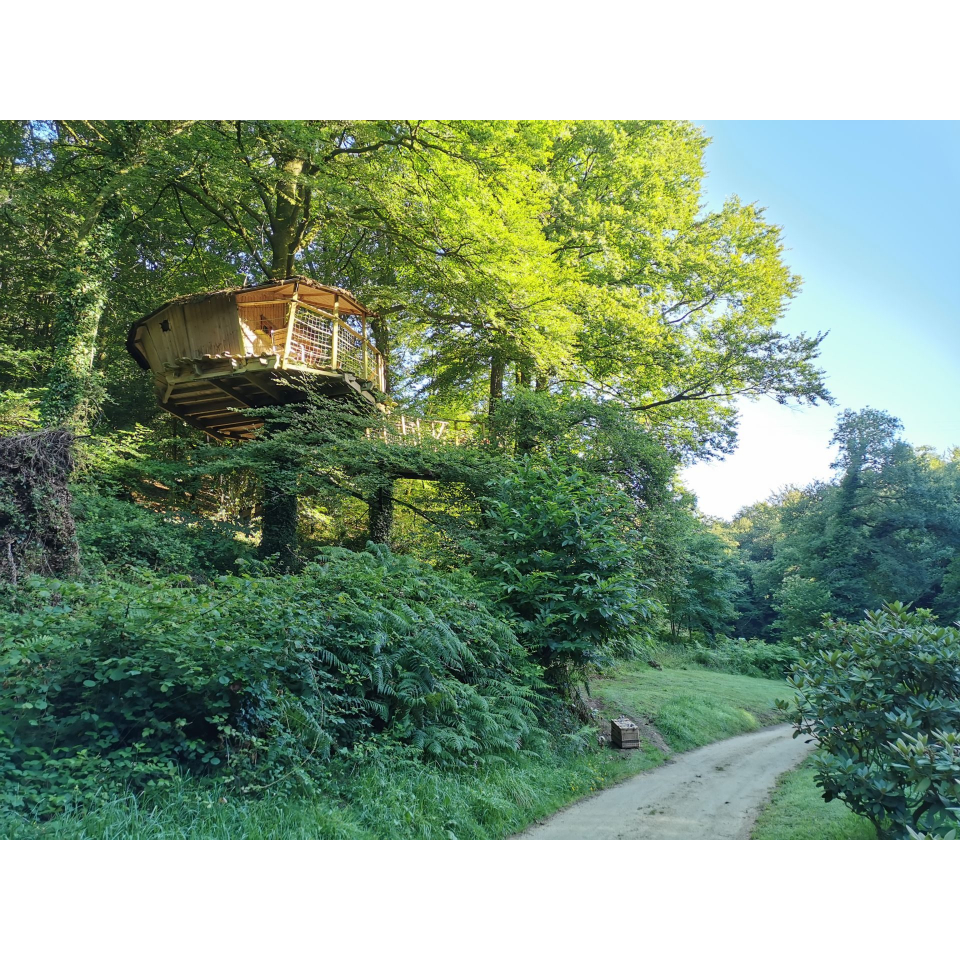 Cabane dans les arbres, nuit insolite à Quistinic (Morbihan) - ©Vallée de Pratmeur