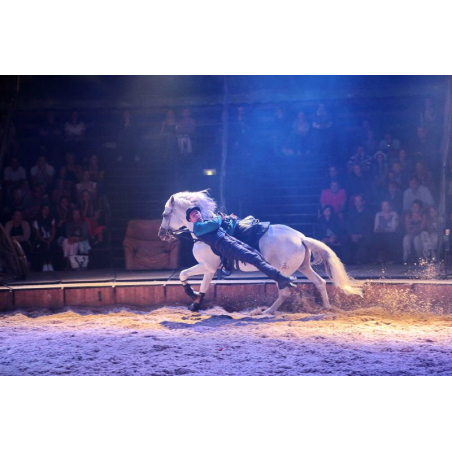 @Sellor - Spectacle équestre au Haras National d'Hennebont @Sellor - Spectacle équestre au Haras National d'Hennebont