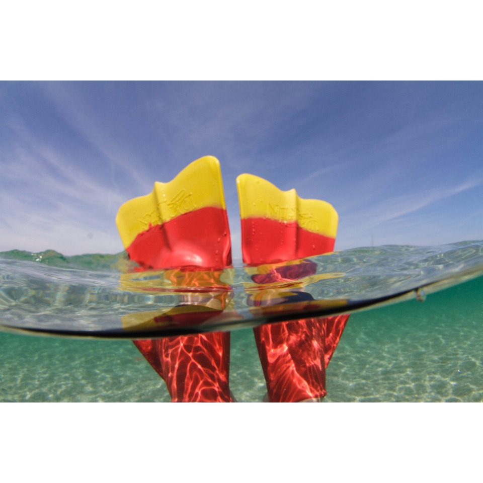 Palmes dans l'eau cristalline de l'île de Groix (Morbihan) - ©Thomas Deregnieaux - LBST