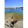 ©E. LEMEE-LBST- Les eaux cristallines de Port-Tudy ©E. LEMEE-LBST- Les eaux cristallines de Port-Tudy