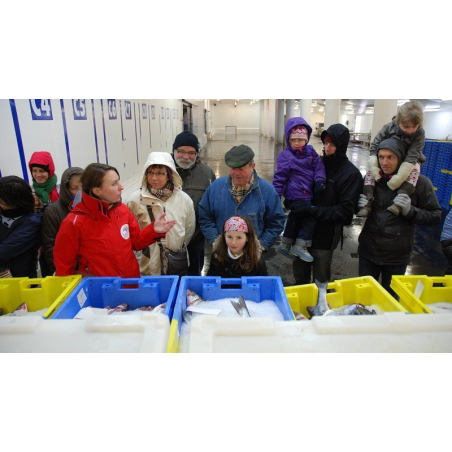 ©Maison de la Mer - Le poisson fraîchement débarqué au port de pêche de Lorient (Morbihan)