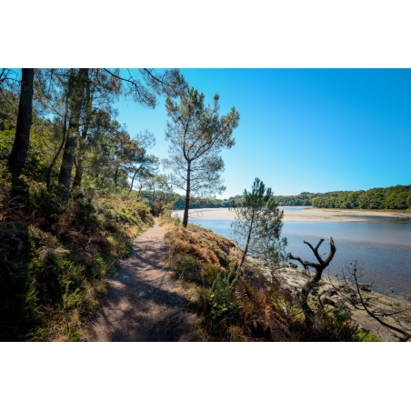 ©E. LEMEE - LBST - Sentier au bord de la Laïta à Guidel (Morbihan)