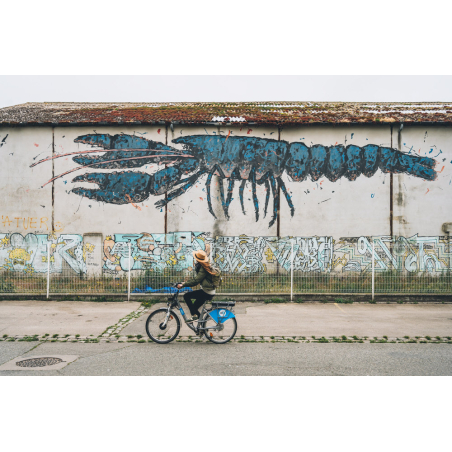 ©Max Coquard-Besjobers-LBST - Les graffs du port de pêche de Lorient (Morbihan)