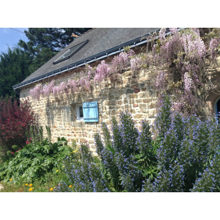 ©Sophie Robic - La longère de Guidel (Morbihan)