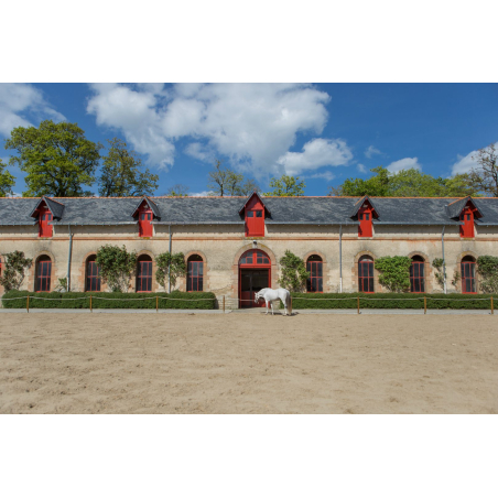 Le Haras national d'Hennebont (Morbihan) - ©Thomas Deregnieaux - LBST