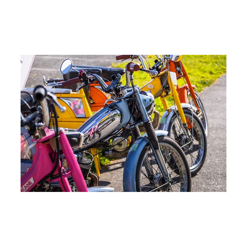 Location de mobylettes vintage à Larmor-Plage (Morbihan) - ©Albylette