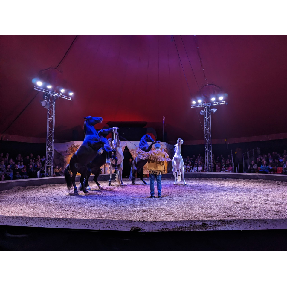 Spectacle équestre au Haras national d'Hennebont (Morbihan) - ©O. Cadet - LBST