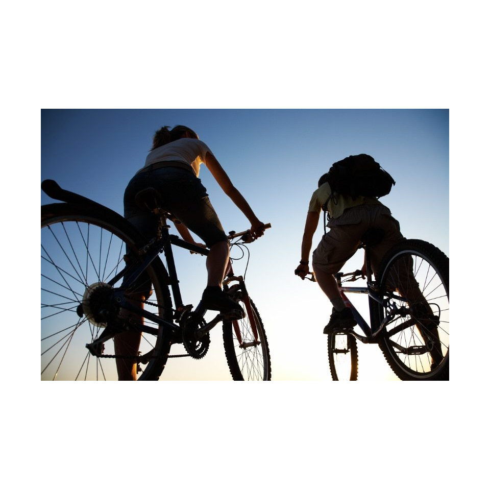 ©shutterstock- vélos