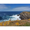 Côte sauvage de Pen Men à l'île de Groix (Morbihan) ©Anaïs Marcos - LBST