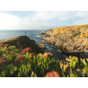 Falaises de Pen Men sur la côte sauvage de l'île de Groix (Morbihan) - ©Thibault Poriel - LBST
