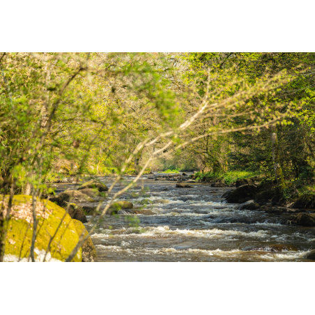 Rivière Scorff à Plouay (Morbihan) -  ©Thibault Poriel - LBST