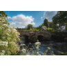 Balade sur le pont romain entre Pont-Scorff et Cléguer (Morbihan) - ©Tony Esnault - LBST