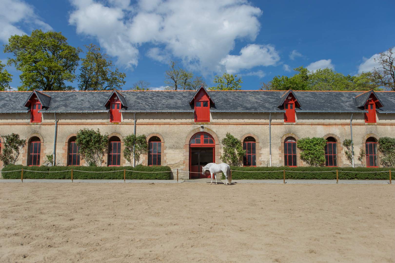 Cheval au Haras national d'Hennebont (Morbihan) - ©Thomas Deregnieaux - LBST