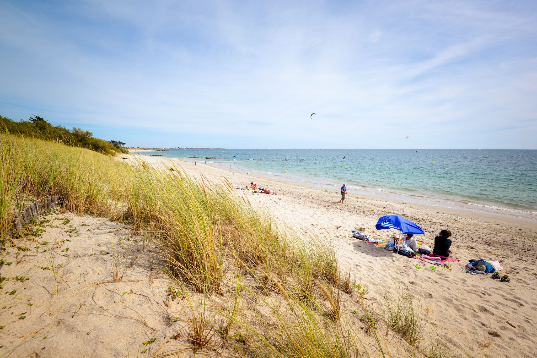 Dune de la plage de Kerguélen à Larmor-Plage (Morbihan) - ©Emmanuel Lemée - LBST