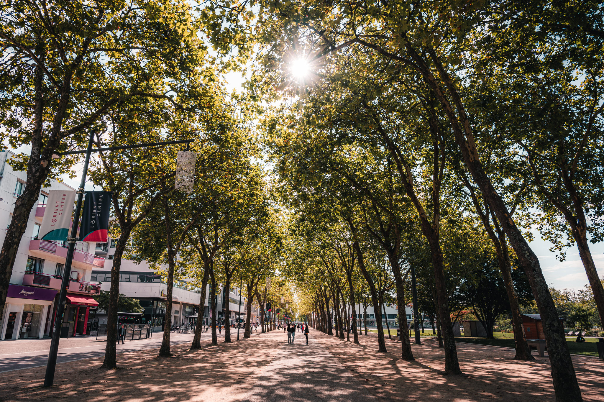 Allée arborée du parc Jules Ferry dans le centre-ville de Lorient (Morbihan) - ©Lezbroz - LBST