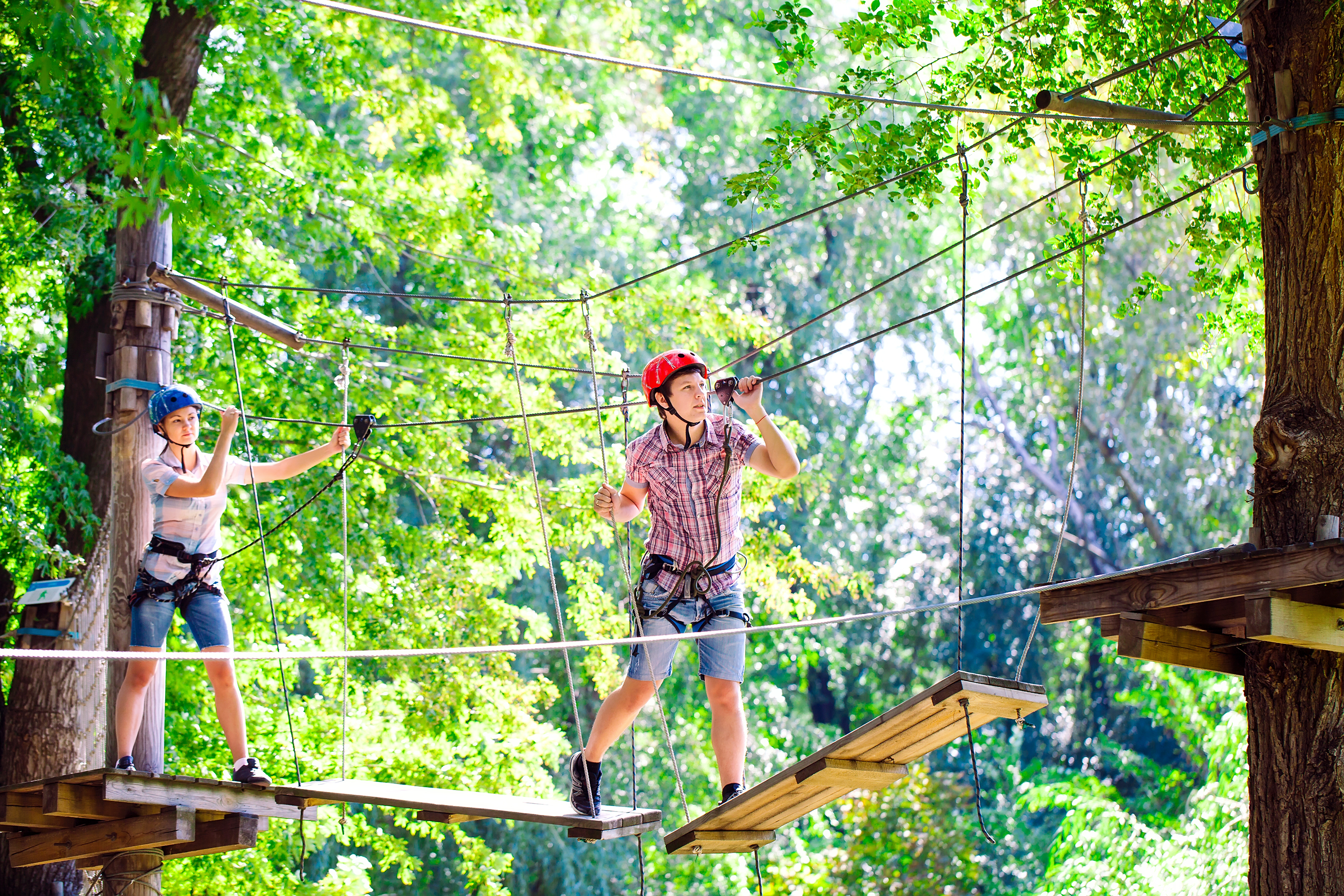 Parcours accrobranche - ®Shutterstock - Breizhbox®