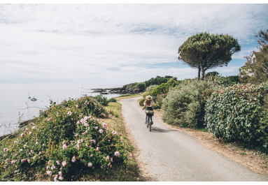 Evadez-vous au printemps en Bretagne Sud : découvrez ses îles, ports et gastronomie avec la Breizhbox®